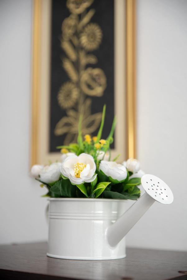 Apartmani Silvana&Vera เซนญ์ ภายนอก รูปภาพ